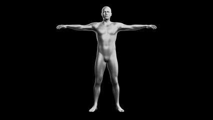 Beautiful young man posing, isolated on black background. 3d illustration (rendering). Silver mannequin, android