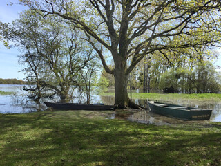 Marais de la goulaine