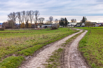 A dirt road leads through agricultural fields to a village in Germany