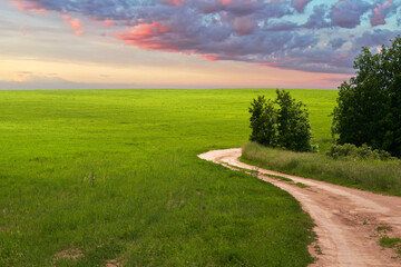 A picturesque rural landscape at sunset. A green field with a winding field road under heavy rain clouds. Copy space.