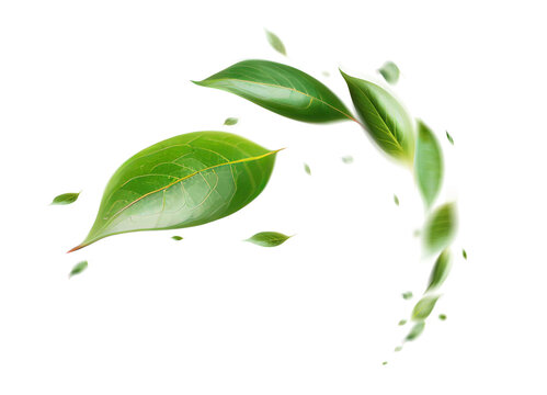 Green Floating Leaves Flying Leaves Green Leaf Dancing, Air Purifier Atmosphere Simple Main Picture.