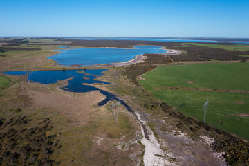 Calden forest and lagoon landscape, Prosopis Caldenia plants, La Pampa province, Patagonia, Argentina.