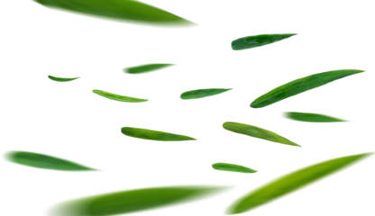 Green leaves flying in the air isolated on background.