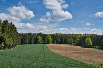 Felder und Wald bewölkter Himmel