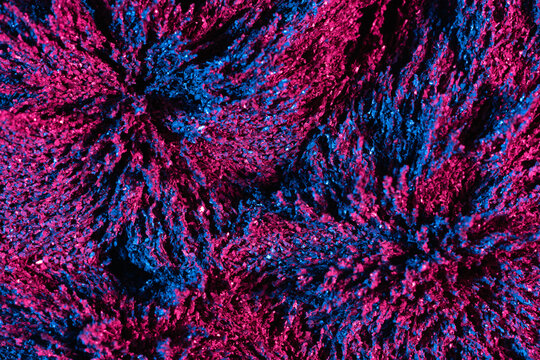 Ferrofluid illuminated with neon light