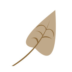 Tropical Leaf Element