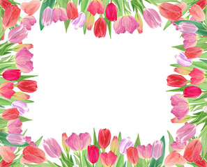 Frame of tulips with transparent background. Photo, text or picture can be inserted in the middle. Romantic flowers hand painted with watercolor. Floral spring design.