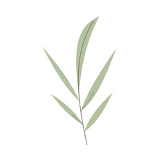 Tropical Leaf Element