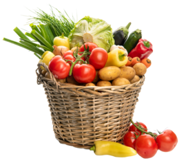 PNG Basket with vegetables. Potatoes, onions, tomatoes, cabbage and other vegetables	
