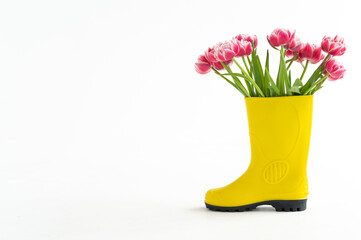 A yellow boot with pink flowers. A bouquet of tulips in a boot on a white background