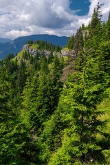 Beautiful mountain landscape with hills, green meadows and spruce trees. Mountain landscape during the day with blue sky and clouds - Low Tatras, NAPANT, Slovakia