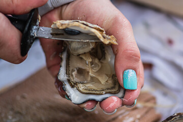 Wet hands of a girl with painted nails opening an oyster with a small knife in a fish shop or...