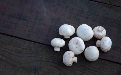 Top view of edible mushrooms on a wooden table. Group of the objects on wooden background.