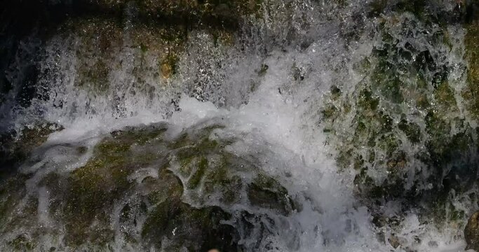 Lunaret Nature reserve, Montpellier, H&eacute;rault department, Occitan, France. The river Lez
