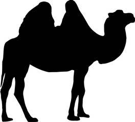 camels silhouette vector