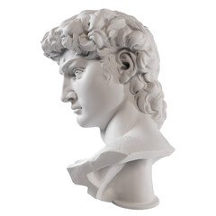 3d rendering - David's head, a sculpture made by Michelangelo