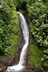 waterfall in the forest