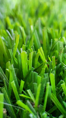 Fototapeta na wymiar closeup green synthetic grass in the home garden