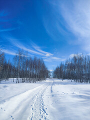 Obraz premium road in winter