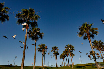  the Wall of the Andalusians which protects the southern area of ​​the Medina, built in 1600 in clay, and the old city