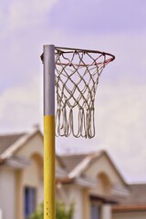 Basket
