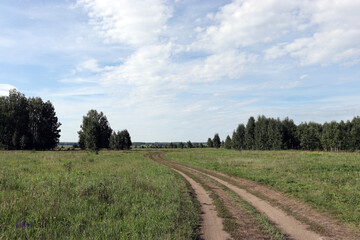 Fototapeta na wymiar Field road among meadows and forest