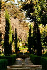 Rabat, Andalusian gardens in the Kasbah of the Oudaias. Morocco