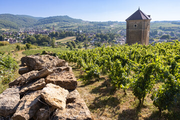 Arbois est une étape incontournable d’un circuit de découverte des vignobles du Jura.