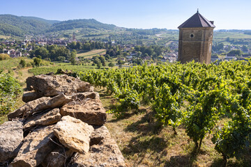 Arbois est une étape incontournable d’un circuit de découverte des vignobles du Jura.