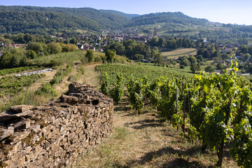 Fototapeta na wymiar Arbois est une étape incontournable d’un circuit de découverte des vignobles du Jura.