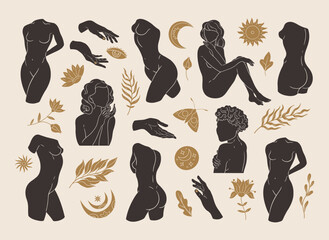 Vector minimalistic set of female bodies and golden mystical elements. Female abstract concept illustration, beautiful esoteric female silhouettes.  © Veronika