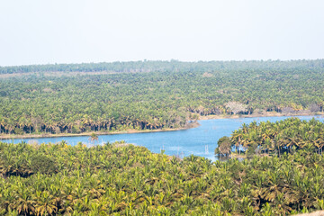 Aerial view of a beautiful lake in a village surrounded by palm trees around Sravanabelagola in Karnataka.