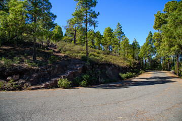 Fototapeta premium Tamadaba mountains, Gran Canaria, Spain