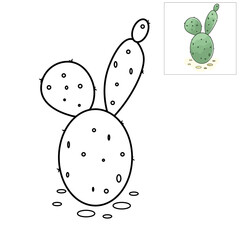 illustration of a cactus with leaves