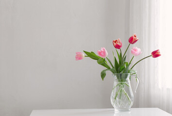 tulips in glass vase on white background