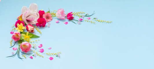 beautiful spring flowers on blue background