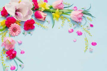 Fototapeta na wymiar beautiful spring flowers on blue background