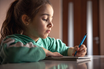 Serious little girl writes with a pen in a notebook.