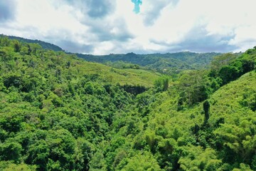 Panorama drone shot from above of a rainforest valley on Flores, in the distance a rice terrace, hills and a blue cloudy sky.