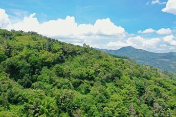 Fototapeta na wymiar Panorama drone shot from above of a rainforest valley on Flores, in the distance hills and a blue cloudy sky.