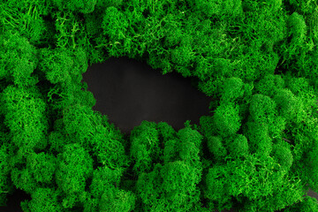 Fresh green moss background