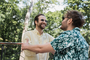 Cheerful friends in sunglasses meeting in park in summer.