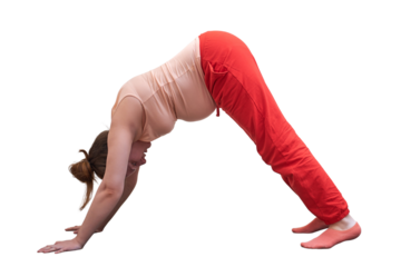 Pregnant woman does yoga in home kitchen in down dog pose, isolated on a white background