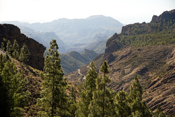 Fototapeta na wymiar view from Roque Nublo on The Soria Valley,