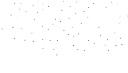 XMAS Stars - Holiday silver decoration, glitter frame isolated -