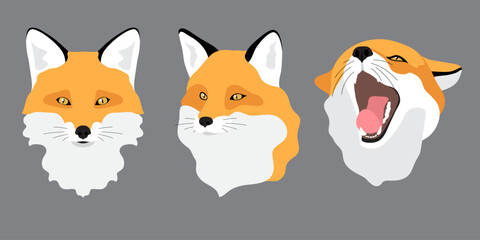 Wild animal red fox. Avatar, icon, head. Set of isolated vector illustrations