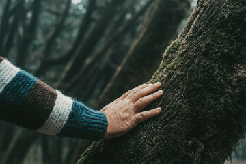 One human hand touching softly a tree trunk with musk. Concept of love nature and outdoors park...