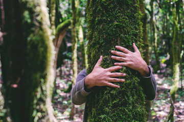 One man hugging a green trunk tree with musk in nature forest woods. Concept of environment and...