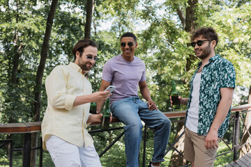 Cheerful interracial men with beer using smartphone in summer park.