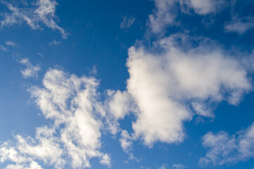 Bright blue sky background with floating cumulus clouds.